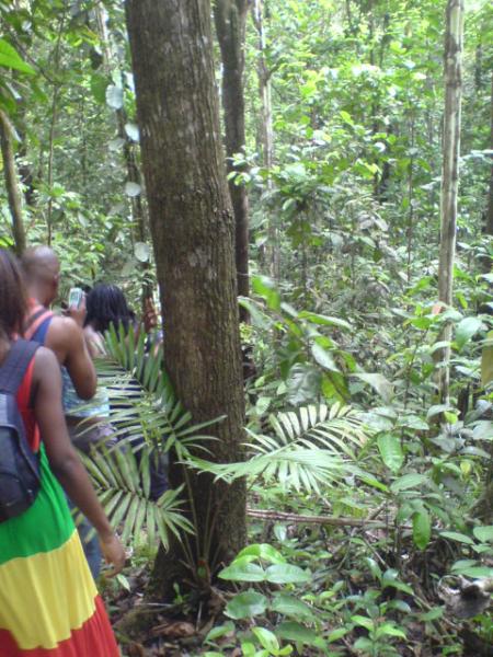 Plan rivière in gwada